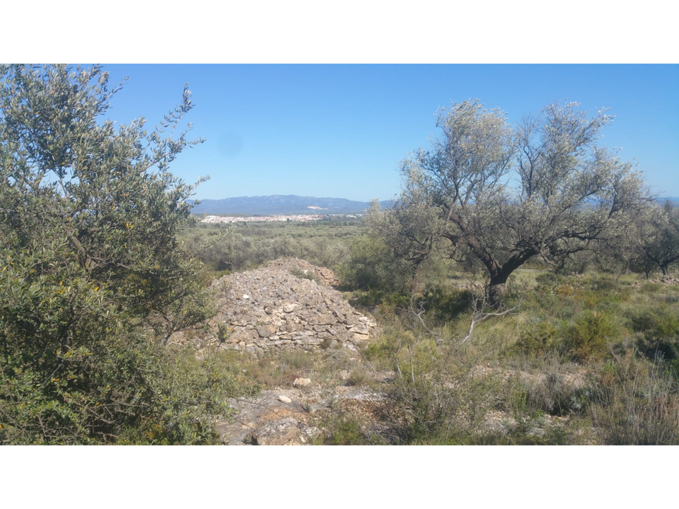 Finca en San Rafael Del Rio, Castellon - foto 1